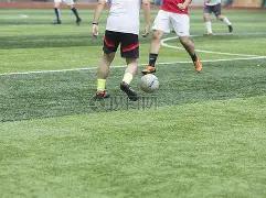 美国运通赛,收视率下滑,斯塔卡脱颖,万博manbetx体育平台,万博体育官网,万博体育app下载,ManBetX,SPORTS