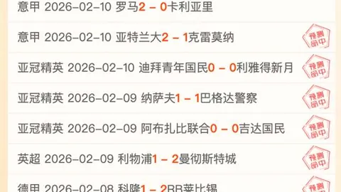 大乐透期号专家推荐：保级冲甲队攻防质合分析